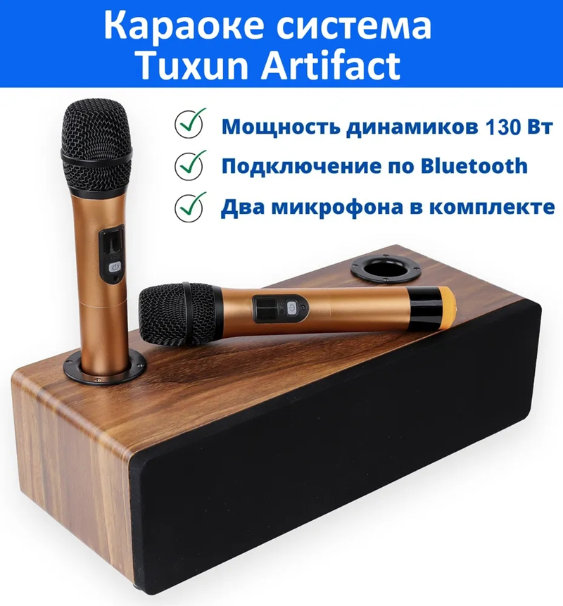 Professional Karaoke Wireless  – обзор и цена Home Cinema Audio System