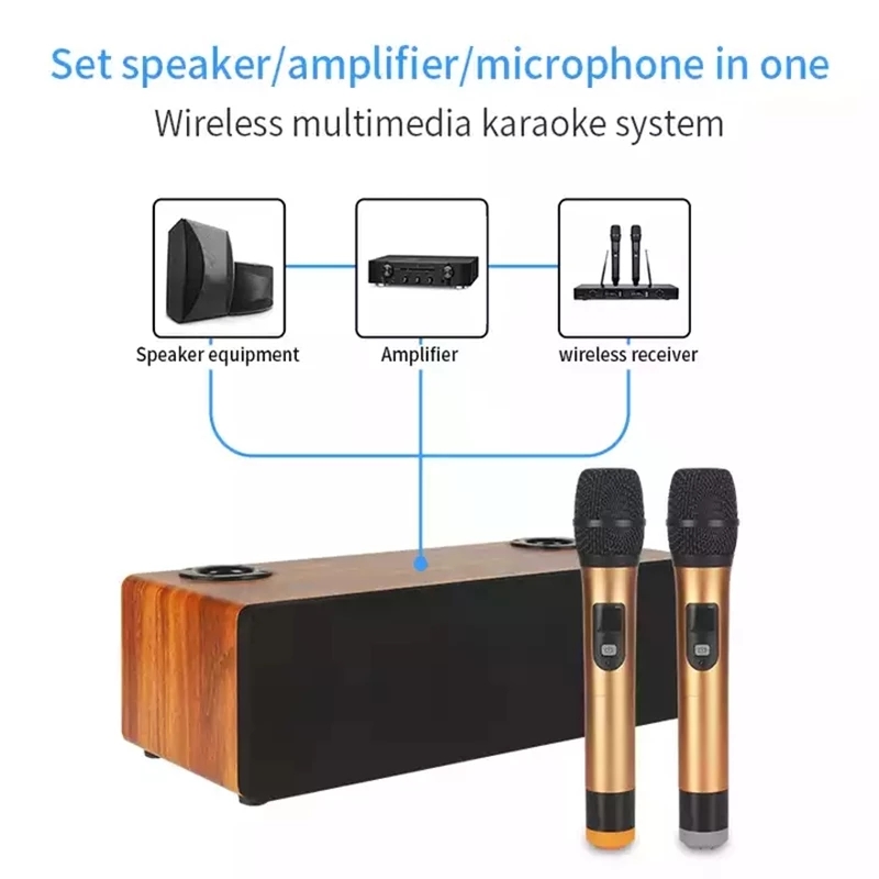Professional Karaoke Wireless  – обзор и цена Home Cinema Audio System