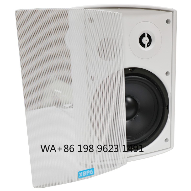 5.1 Wireless WiFi Wall Ceiling – обзор и цена Home Theater Speaker