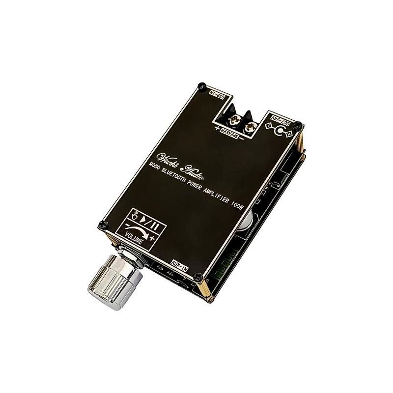 Bluetooth 5.1 TPA3116 D2 Mono  – обзор и цена Home Cinema Choice