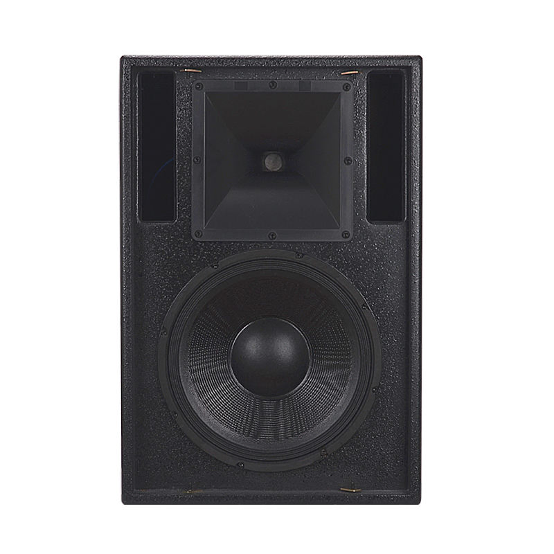 Powerful 12‑Inch Passive PA Sp – обзор и цена Home Theater Speaker